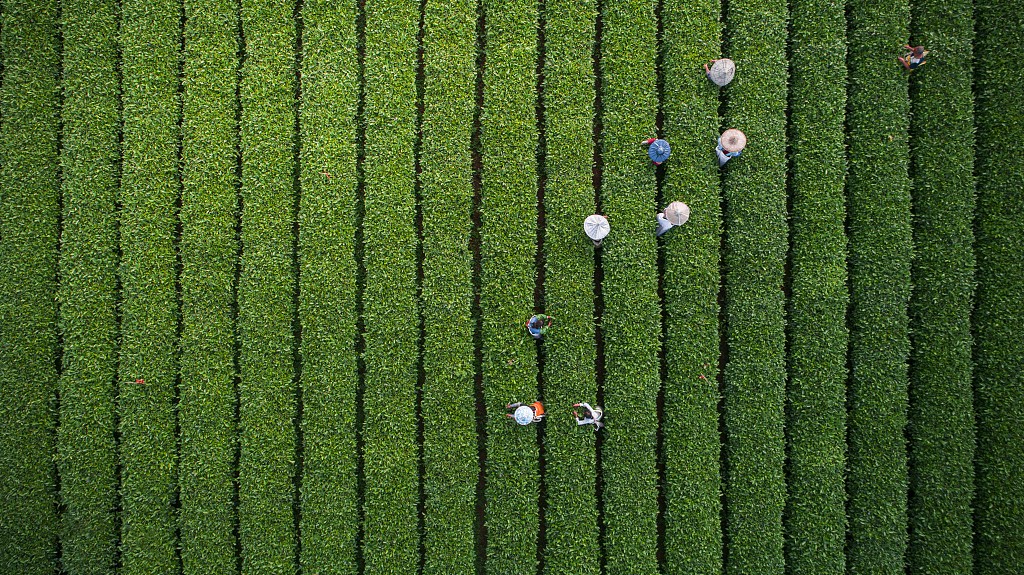從聶市鎮開始，征服世界！